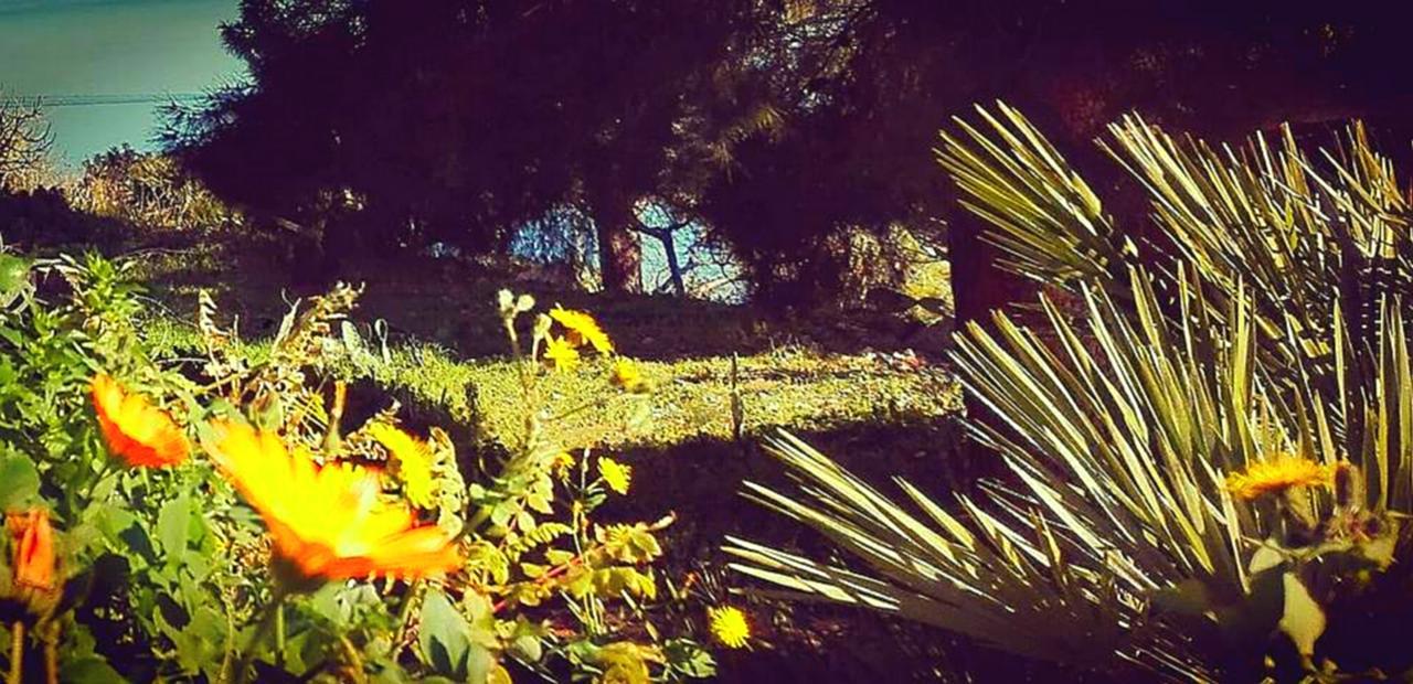 Villa Costa Sauci Σαν Βίτο λο Κάπο Εξωτερικό φωτογραφία